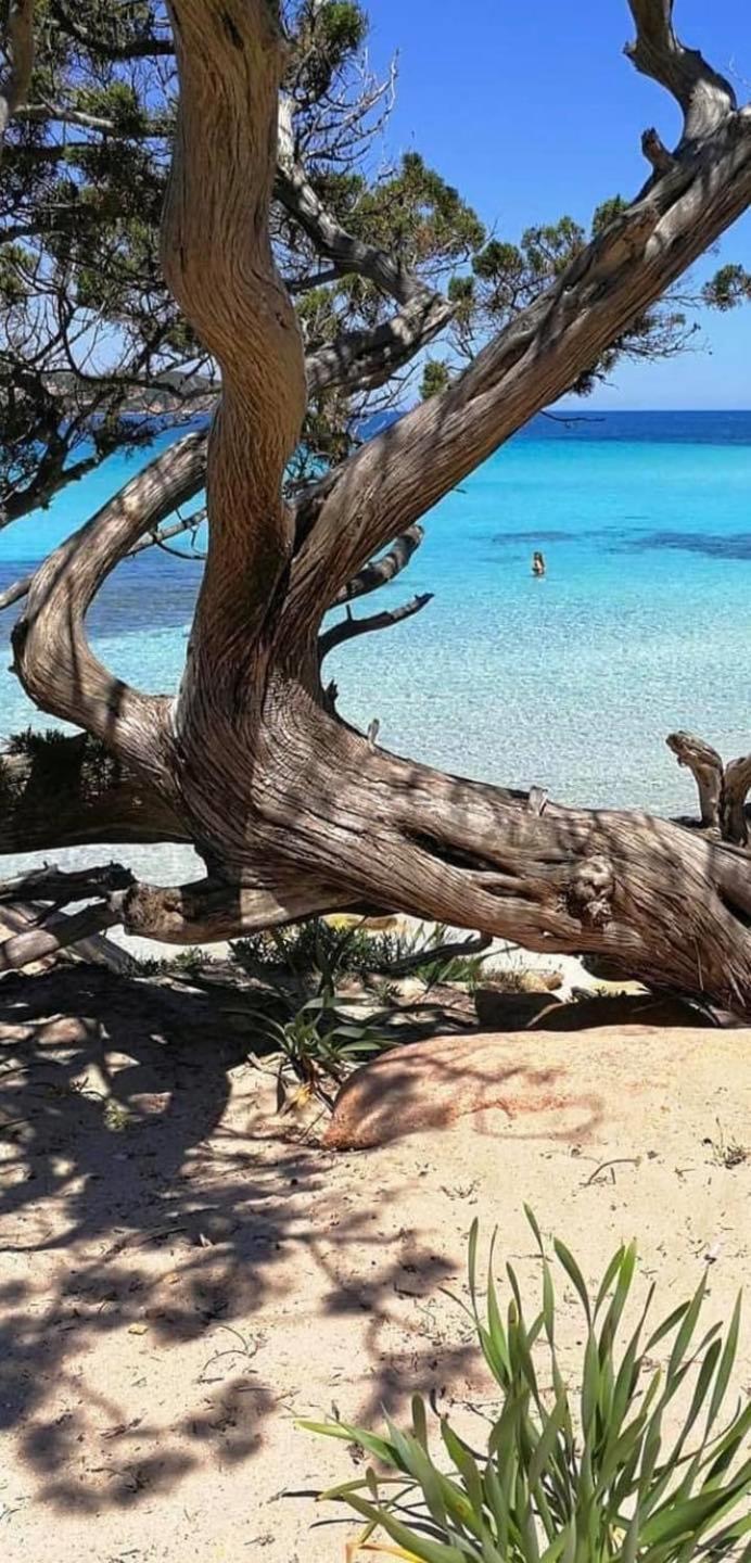 Casa Felicia Daire Bonifacio  Dış mekan fotoğraf